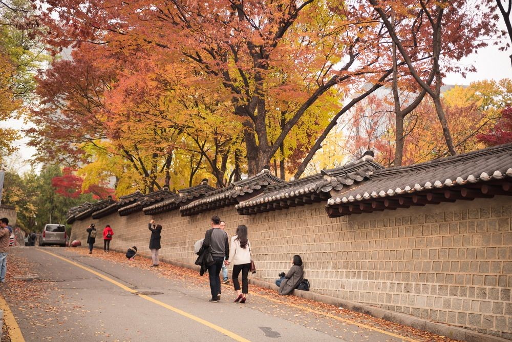 【首爾紅葉2024】首爾紅葉人氣景點!絕美6大首爾迷人賞楓熱點 賞盡韓風紅葉美景 首爾紅葉 | 德壽宮石牆路