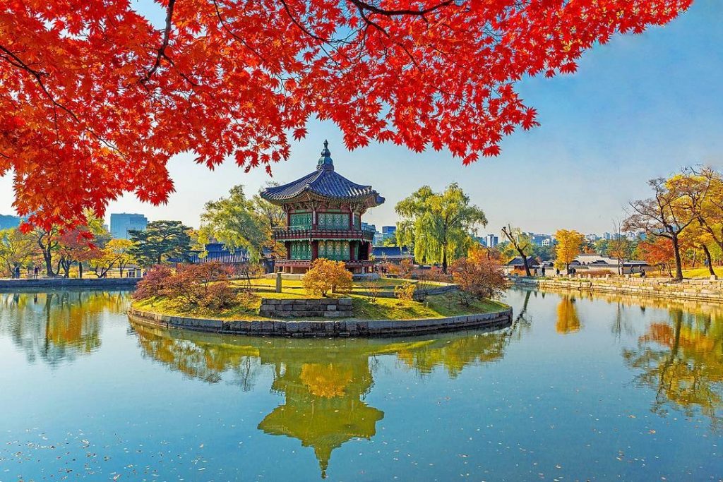 【首爾紅葉2024】首爾紅葉人氣景點!絕美6大首爾迷人賞楓熱點 賞盡韓風紅葉美景 首爾紅葉 | 景福宮