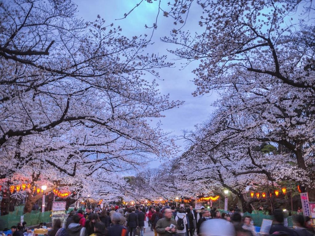 【東京櫻花2020】嚴選7大必去東京櫻花聖地　庭園民區都是賞櫻地 + 夜櫻點燈