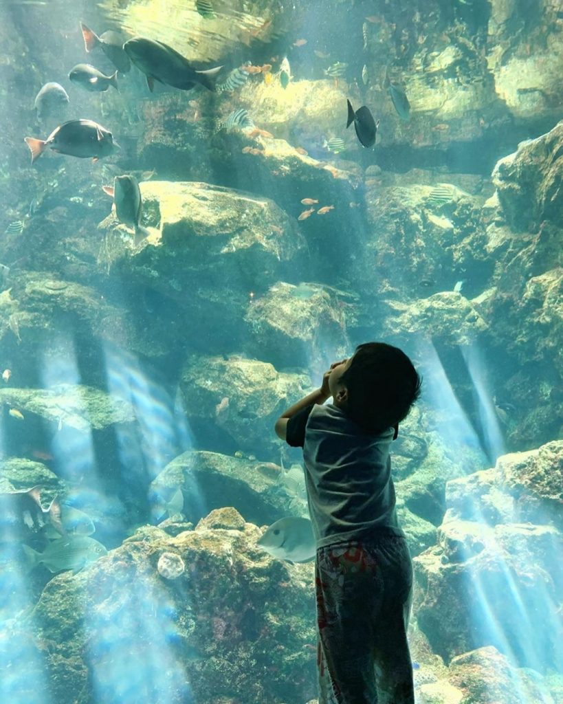 【鹿兒島親子遊】5大鹿兒島親子遊景點推介 恐龍公園+水族館+文藝打卡熱點 鹿兒島親子遊