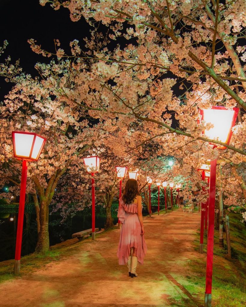 九州櫻花2025預報】7大九州賞櫻熱點逐個數XXX原來入選「百大櫻花名所」