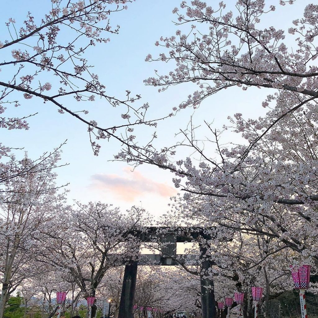 【九州櫻花2020】7大九州賞櫻熱點逐個數 XXX原來入選「百大櫻花名所」 九州櫻花2020