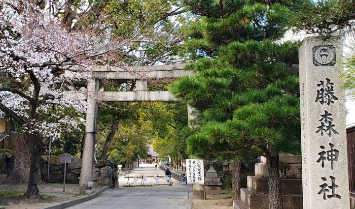 【京都自由行攻略】京都4日3夜自由行行程推介　人氣美食、周邊景點與玩樂好去處