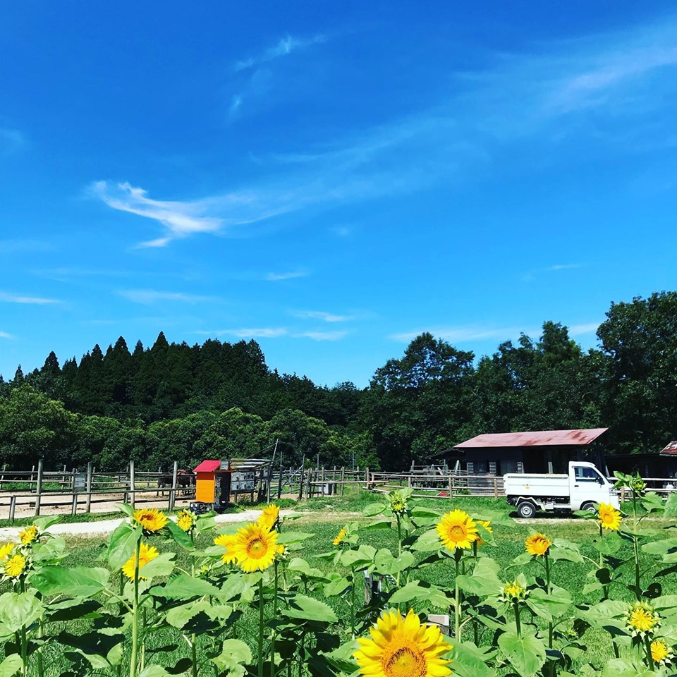 【佐賀自由行景點】17大必去必食佐賀自由行景點推介 參加不一樣的「國際熱氣球節」 佐賀自由行景點