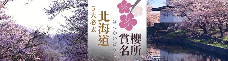 北海道櫻花