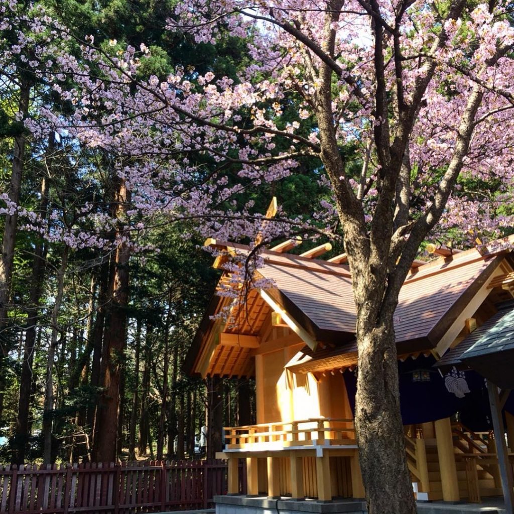 【北海道櫻花2020】5大必去北海道賞櫻名所推介 就連當地人都認證! 北海道櫻花2020
