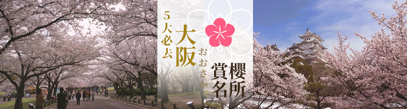 大阪櫻花
