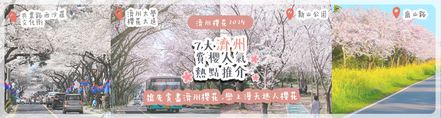 濟州櫻花2024 | 7大濟州賞櫻人氣熱點推介 搶先賞盡韓國櫻花絕景