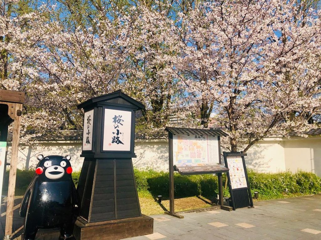 【熊本親子遊】5大必去熊本親子遊景點推介 尋「熊本熊」蹤+賞豚+城堡小鎮 熊本親子遊