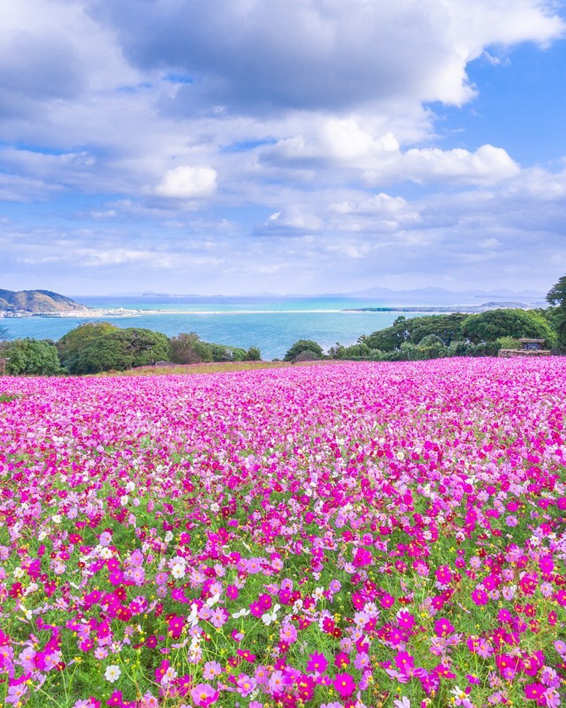 福岡自由行