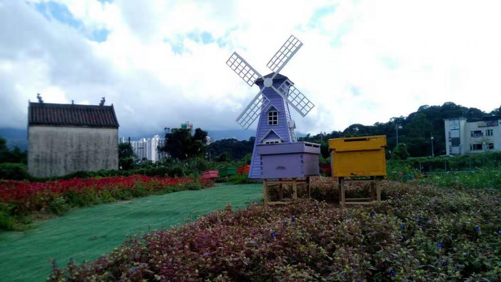 大埔蝶豆花園有機農莊風車