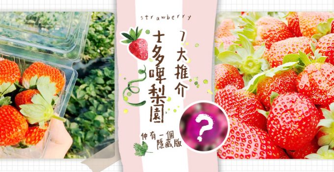 士多啤梨園特集