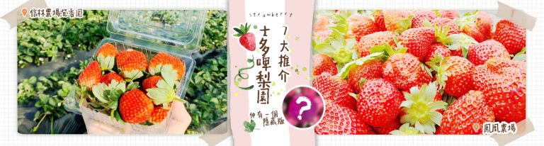 士多啤梨園特集