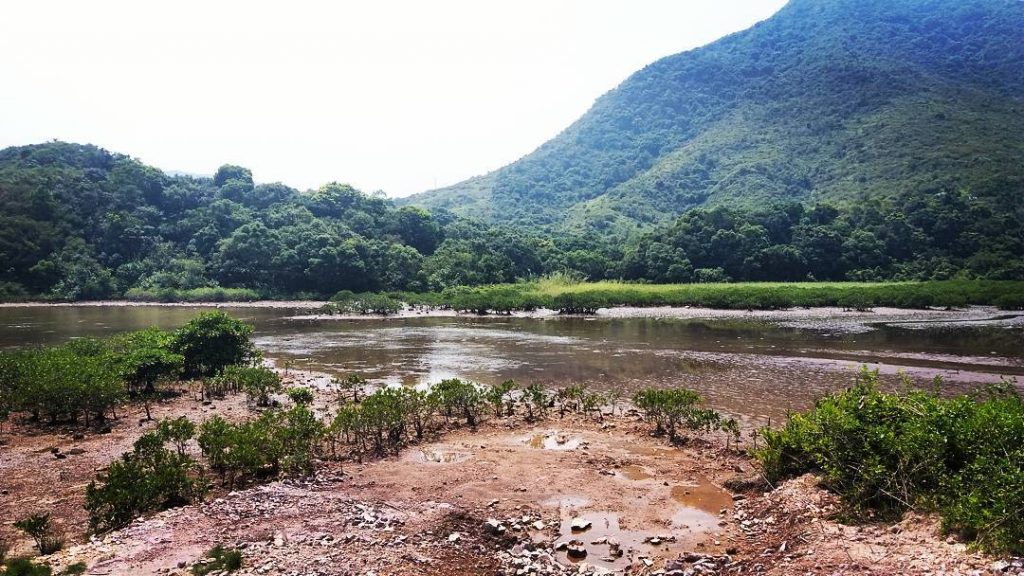 離島遊-荔枝窩