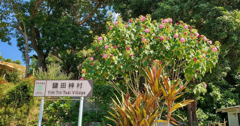 西貢好去處