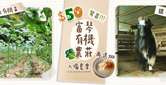 富琴火龍果有機農莊