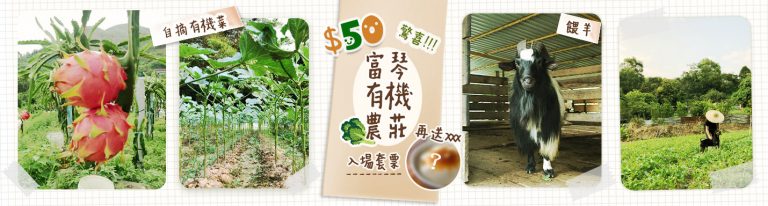 富琴火龍果有機農莊