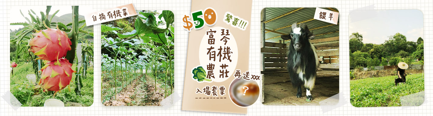 富琴火龍果有機農莊