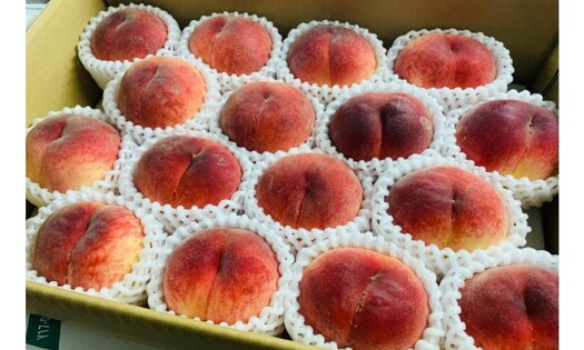 海外水果直送-山梨水蜜桃