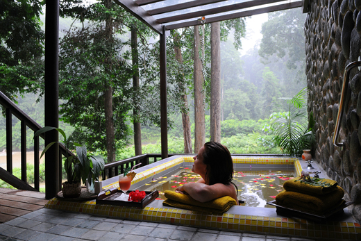 沙巴旅遊-婆羅洲雨林旅館