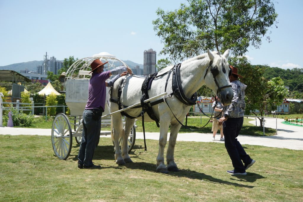 【童幻旅程獨家入場套票】 $98+玩盡童話世界農莊7大園區 乘古董馬車體驗貴族日常+送「永安旅遊限定」鮮芒雪糕甜筒 童話世界農莊
