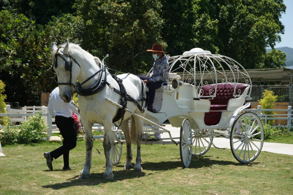 【童幻旅程獨家入場套票】 $98+玩盡童話世界農莊7大園區 乘古董馬車體驗貴族日常+送「永安旅遊限定」鮮芒雪糕甜筒 童話世界農莊