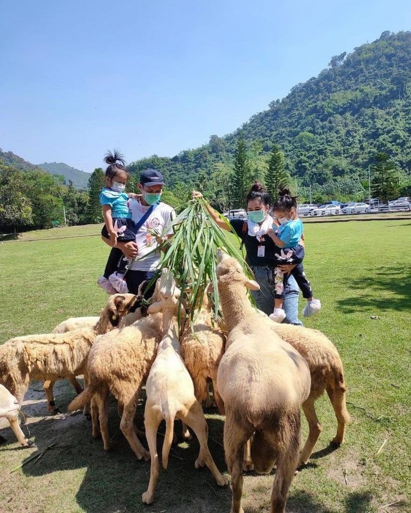 【曼谷景點】重遊泰國!7大必訪曼谷景點推介 主題市集+新火車夜市+秘境公園+… 曼谷景點