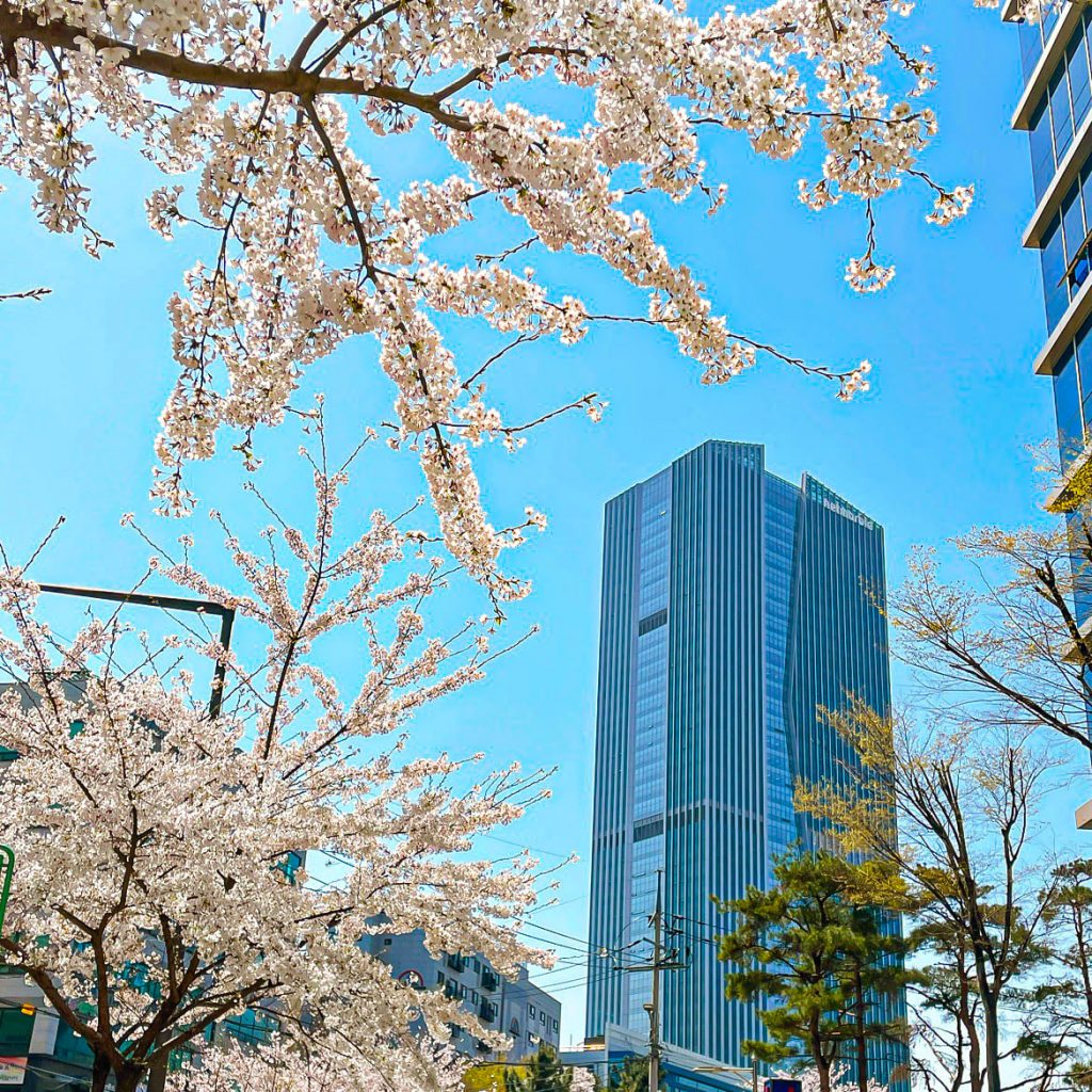 【首爾景點】登上韓國最高地標俯瞰首爾全景 踏足韓團線上開唱地+主題樂園衝浪體驗+… 首爾景點