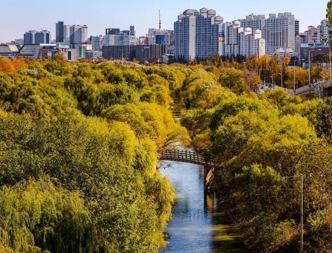 【首爾景點】登上韓國最高地標俯瞰首爾全景 踏足韓團線上開唱地+主題樂園衝浪體驗+… 首爾景點