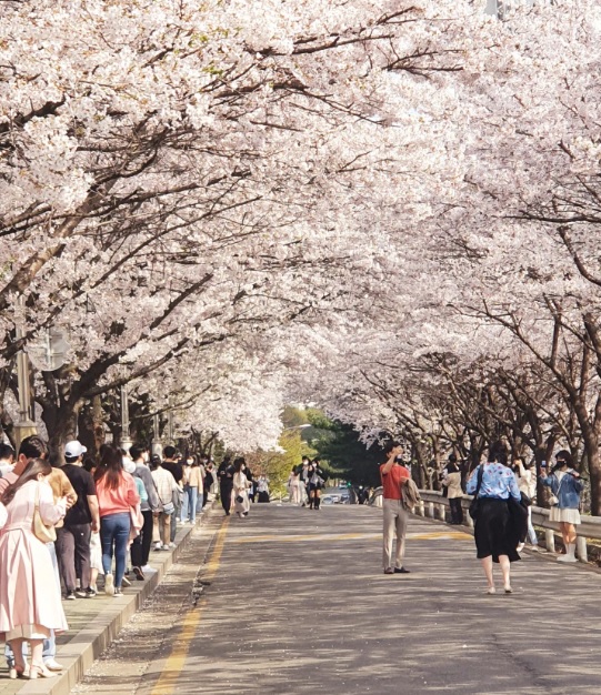 【首爾景點】登上韓國最高地標俯瞰首爾全景 踏足韓團線上開唱地+主題樂園衝浪體驗+… 首爾景點