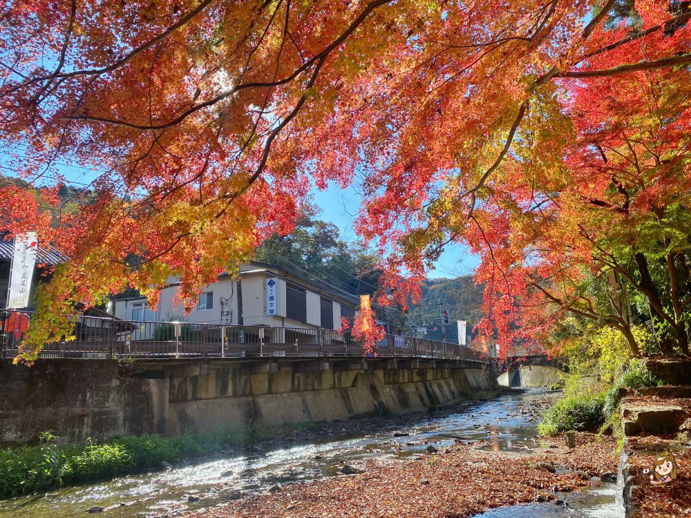 【東京紅葉2024】東京紅葉必去景點攻略!嚴選7大東京紅葉人氣景點 飽覽和風紅葉美景 東京紅葉 | 高尾山