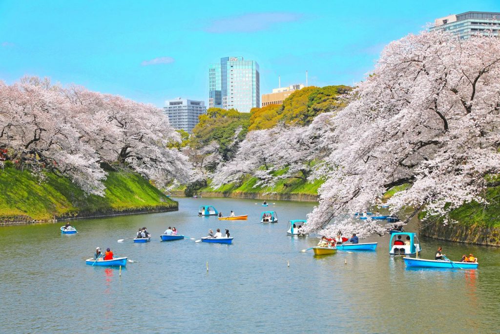 東京櫻花2024 | 7大東京櫻花人氣景點推介 3月底起賞盡漫天櫻花 人氣東京櫻花熱點 | 千鳥之淵