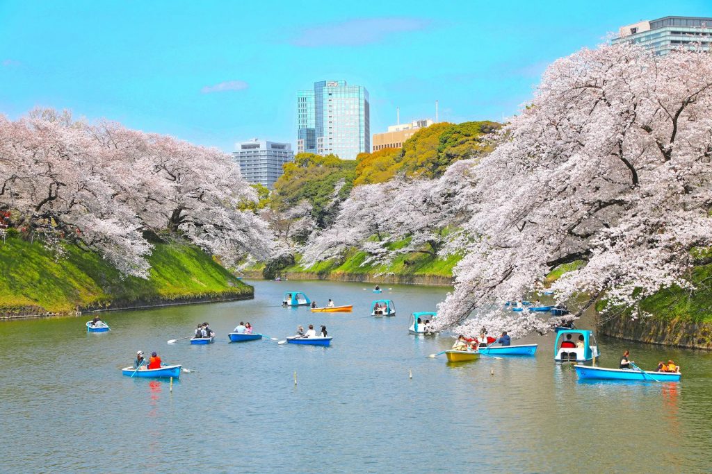 人氣東京櫻花熱點 | 千鳥之淵