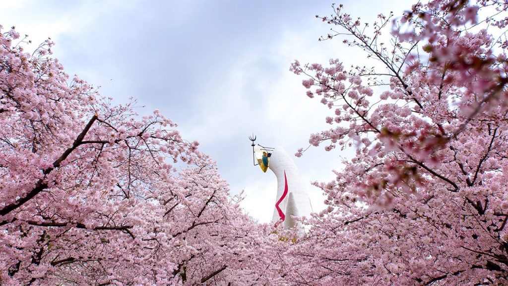 人氣大阪櫻花熱點 | 萬博紀念公園