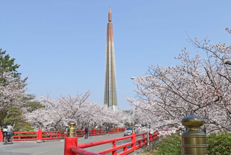 人氣大阪櫻花熱點 | 辯天宗冥應寺