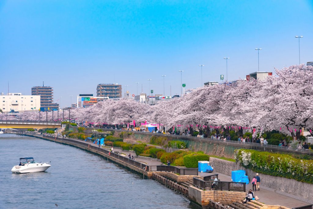 東京櫻花2024 | 7大東京櫻花人氣景點推介 3月底起賞盡漫天櫻花 人氣東京櫻花熱點 | 隅田公園
