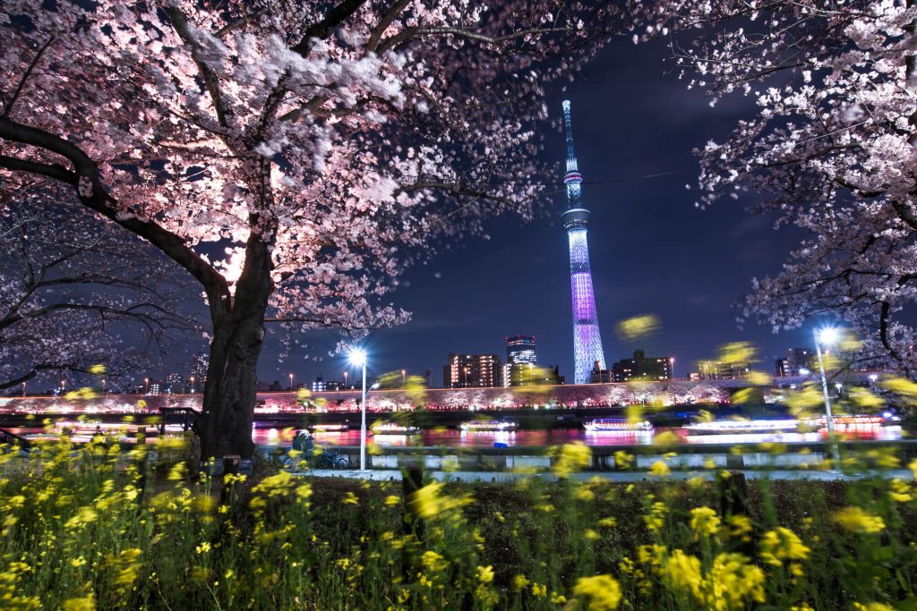 人氣東京櫻花熱點 | 隅田公園