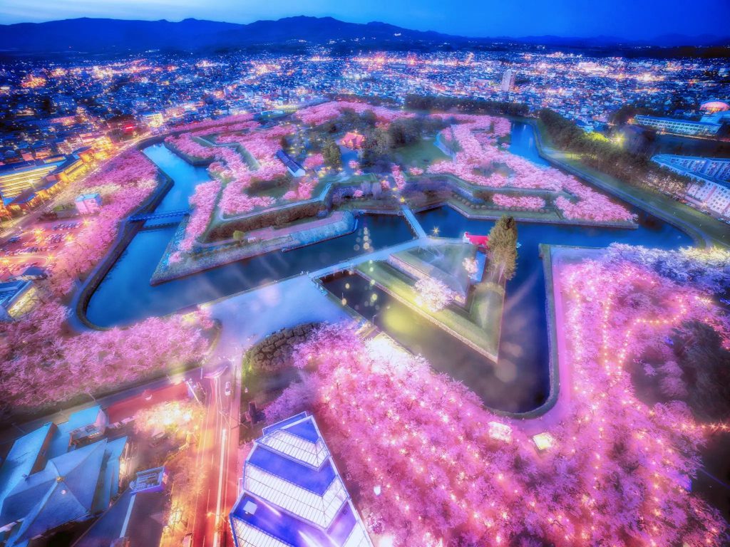 人氣北海道櫻花熱點 | 五稜郭公園