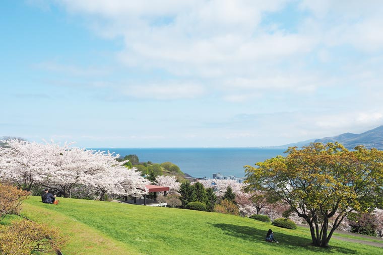 人氣北海道櫻花熱點 | 手宮綠化植物園
