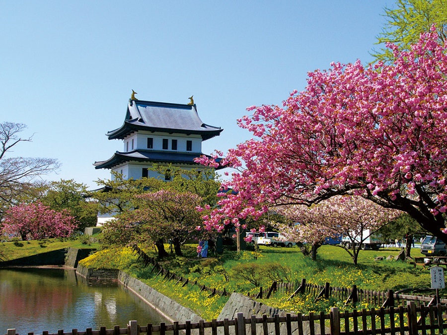 人氣北海道櫻花熱點 | 松前公園