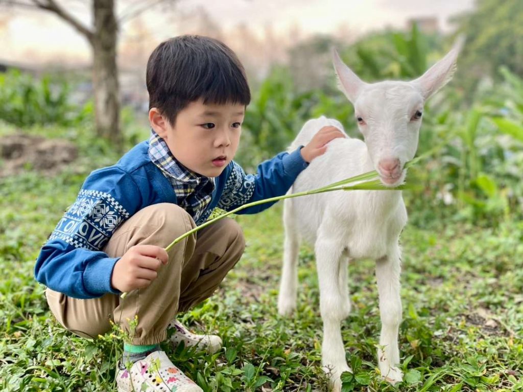 【親子動物園】亞洲親子遊好去處!6個必去人氣親子動物園推介 近距離親親動物 & 走進神秘水底世界 【親子動物園】亞洲親子遊好去處!6個必去人氣親子動物園推介 近距離親親動物 & 走進神秘水底世界