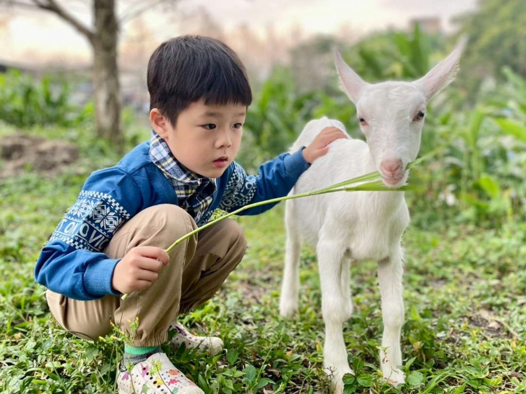 【親子動物園】亞洲親子遊好去處！6個必去人氣親子動物園推介 近距離親親動物 & 走進神秘水底世界