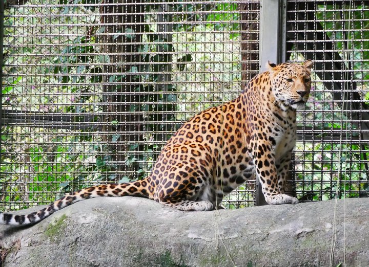 【親子動物園】亞洲親子遊好去處！6個必去人氣親子動物園推介 近距離親親動物 & 走進神秘水底世界