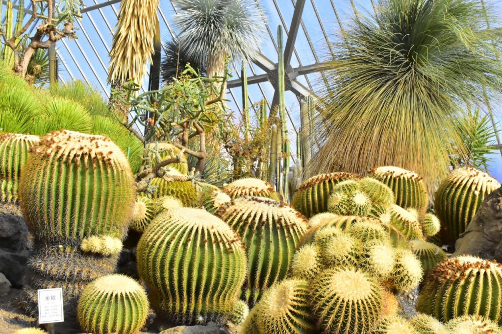 【親子動物園】亞洲親子遊好去處！6個必去人氣親子動物園推介 近距離親親動物 & 走進神秘水底世界