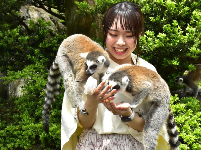 【親子動物園】亞洲親子遊好去處！6個必去人氣親子動物園推介 近距離親親動物 & 走進神秘水底世界