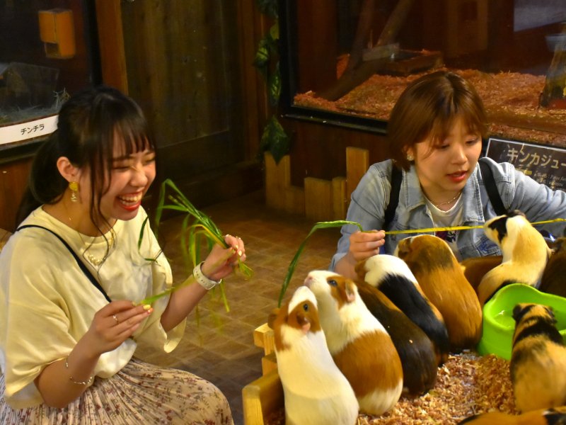 【親子動物園】亞洲親子遊好去處!6個必去人氣親子動物園推介 近距離親親動物 & 走進神秘水底世界 【親子動物園】亞洲親子遊好去處!6個必去人氣親子動物園推介 近距離親親動物 & 走進神秘水底世界