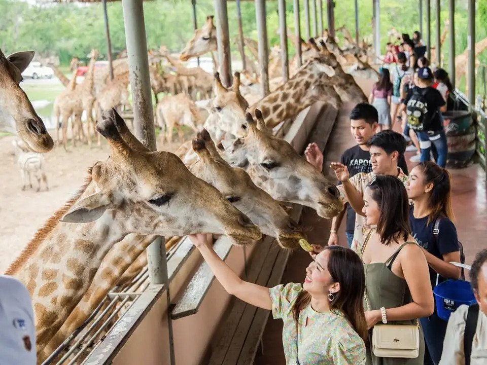 【親子動物園】亞洲親子遊好去處！6個必去人氣親子動物園推介 近距離親親動物 & 走進神秘水底世界