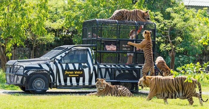 【親子動物園】亞洲親子遊好去處！6個必去人氣親子動物園推介 近距離親親動物 & 走進神秘水底世界