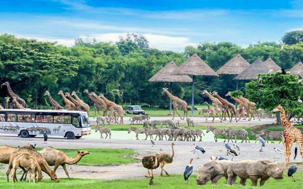 【親子動物園】亞洲親子遊好去處!6個必去人氣親子動物園推介 近距離親親動物 & 走進神秘水底世界 【親子動物園】亞洲親子遊好去處!6個必去人氣親子動物園推介 近距離親親動物 & 走進神秘水底世界