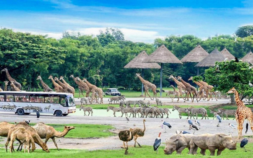 【親子動物園】亞洲親子遊好去處！6個必去人氣親子動物園推介 近距離親親動物 & 走進神秘水底世界